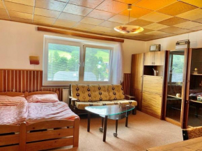 Hotels in Bušín